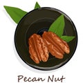 Pecan nut on plate isolated on white background. Vector illustration Royalty Free Stock Photo