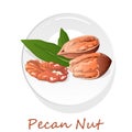 Pecan nut on plate isolated on white background. Vector illustration Royalty Free Stock Photo