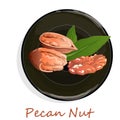 Pecan nut on plate isolated on white background. Vector illustration Royalty Free Stock Photo