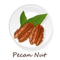 Pecan nut on plate isolated on white background. Vector illustration Royalty Free Stock Photo