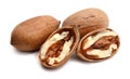 Pecan nut. Royalty Free Stock Photo