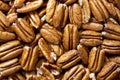 Pecan nuts Royalty Free Stock Photo