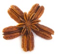 Pecan nuts and Anise star Royalty Free Stock Photo