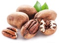 Pecan nuts isolated on a white. Royalty Free Stock Photo