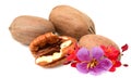 Pecan nuts and leaves. Royalty Free Stock Photo