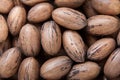 Pecan nuts in shells Royalty Free Stock Photo