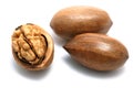 Pecan nuts and walnut Royalty Free Stock Photo