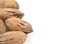 Pecan nuts on white background.
