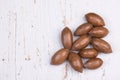 Pecan nuts on a white textured background Royalty Free Stock Photo