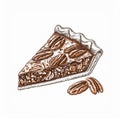 Pecan Pie Slice Detailed Illustration with Two Pecans on White Background Royalty Free Stock Photo