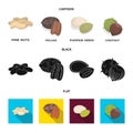 Pecan, pine nut, pumpkin seeds, chestnut.Different kinds of nuts set collection icons in cartoon,black,flat style vector