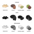 Pecan, pine nut, pumpkin seeds, chestnut.Different kinds of nuts set collection icons in cartoon,black,monochrome style