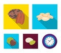 Pecan, pine nut, pumpkin seeds, chestnut.Different kinds of nuts set collection icons in flat style vector symbol stock
