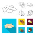 Pecan, pine nut, pumpkin seeds, chestnut.Different kinds of nuts set collection icons in outline,flat style vector