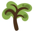 Pecan tree, icon icon