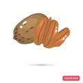 Pecan walnuts color flat icon