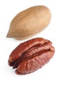 Pecan on white background