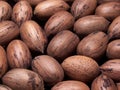 Pecans Royalty Free Stock Photo