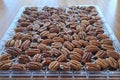 Dehydrating Drying Peacan Nuts Royalty Free Stock Photo