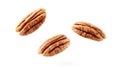 Pecans flying mid-air, isolate on white background. Collection Royalty Free Stock Photo