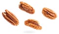 Pecans flying mid-air, isolate on white background. Collection Royalty Free Stock Photo