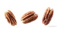 Pecans flying mid-air, isolate on white background. Collection Royalty Free Stock Photo