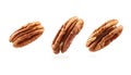 Pecans flying mid-air, isolate on white background. Collection Royalty Free Stock Photo