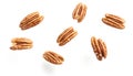 Pecans flying mid-air, isolate on white background. Collection Royalty Free Stock Photo