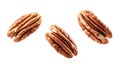 Pecans flying mid-air, isolate on white background. Collection Royalty Free Stock Photo