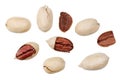 Pecans isolated on a white background, top view