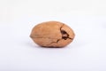 Pecans nuts on white background. Royalty Free Stock Photo