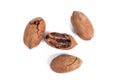 Pecans nuts on white background. Royalty Free Stock Photo