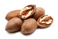 Pecan nut. Royalty Free Stock Photo