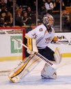 Pecca Rinne, Nashville Predators Royalty Free Stock Photo