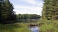 Peck Lake, Algonquin Provincial Park 5 Royalty Free Stock Photo