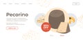 Pecorino Italian cheese on sale in online store Royalty Free Stock Photo