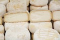 Pecorino Italian cheese Royalty Free Stock Photo