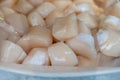 Pecten maximus or great scallop, king scallop, St James shell or escallop fresh and open ready to cook