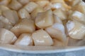 Pecten maximus or great scallop, king scallop, St James shell or escallop fresh and open ready to cook