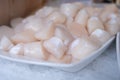 Pecten maximus or great scallop, king scallop, St James shell or escallop fresh and open ready to cook