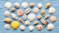 Pectinidae cone shells Conus and cowries Cypraea featuring diverse Royalty Free Stock Photo