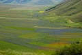 Blossoming time in Castelluccio di Norcia, Italy