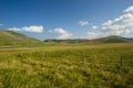 Blossoming time in Castelluccio di Norcia, Italy