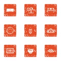 Pecuniary icons set, grunge style