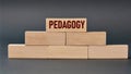 PEDAGOGY - word on wooden blocks on dark background Royalty Free Stock Photo