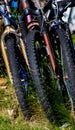 Pedal bikes parked on the grass   longtime Royalty Free Stock Photo