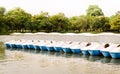 Pedal boats Royalty Free Stock Photo