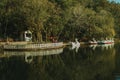 Pedal boats in the shape of swan on a lake