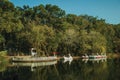 Pedal boats in the shape of swan on a lake