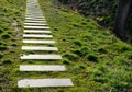 Pedal road made of concrete tiles in lawn straight row concrete walkway in city park garden spring light white color and green Royalty Free Stock Photo